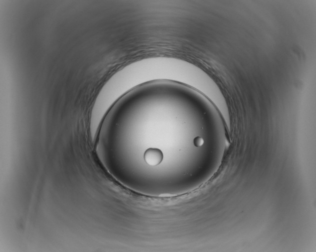 X0000111000037200906191600