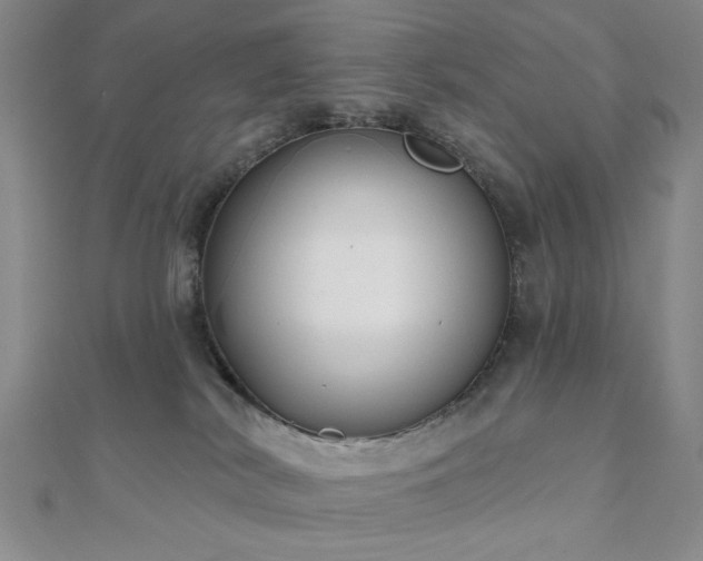 X0000111000038200906191600