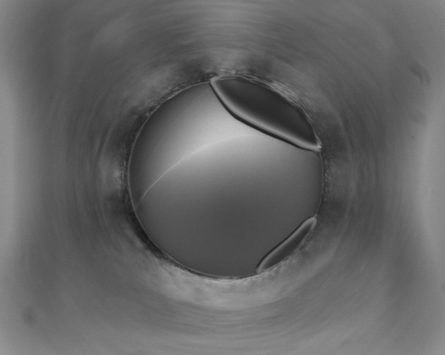 X0000111000039200906191600