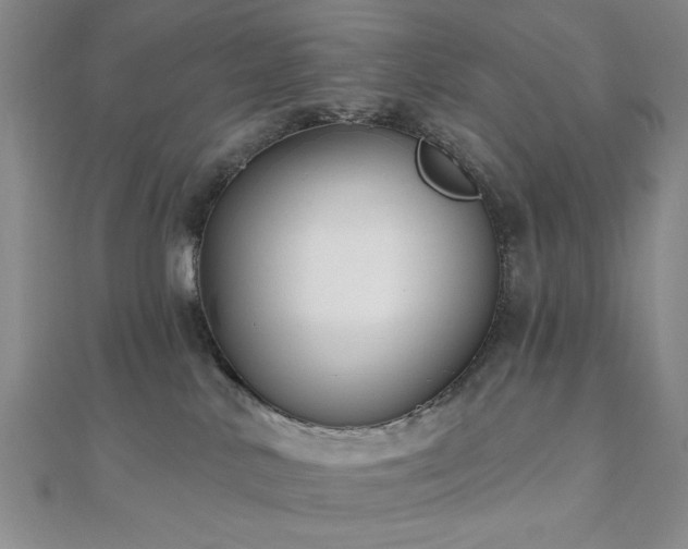 X0000111000042200906191600