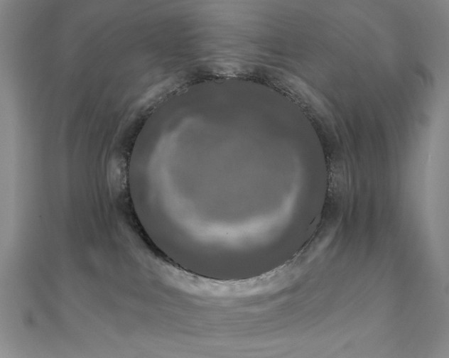 X0000111000043200906191600