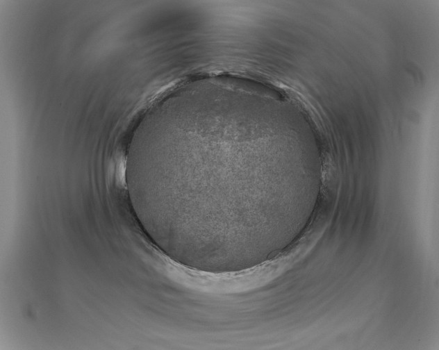 X0000111000046200906191600