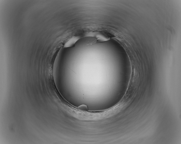 X0000111000048200906191600