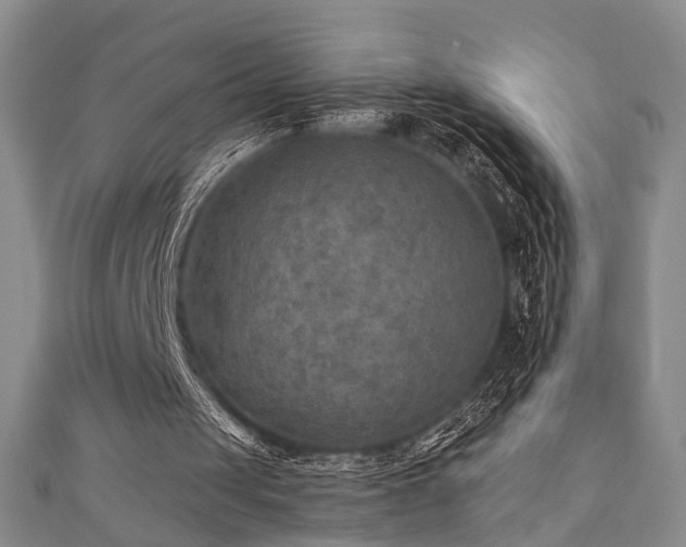 X0000111000049200906191559