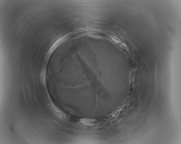 X0000111000051200906191559