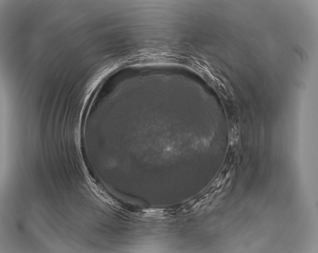 X0000111000052200906191559