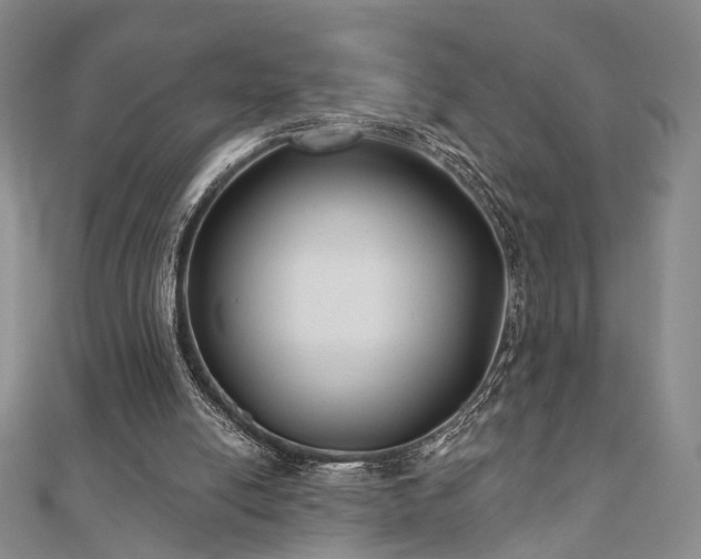 X0000111000054200906191559