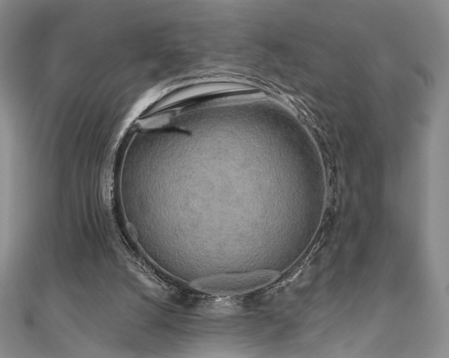 X0000111000056200906191559