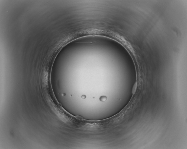 X0000111000057200906191559