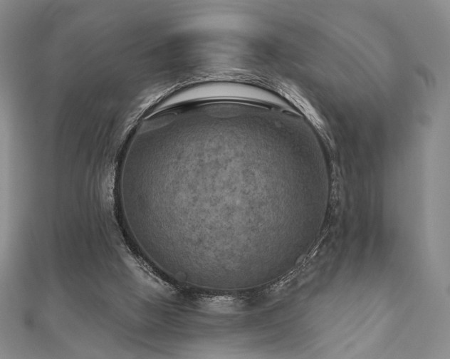 X0000111000058200906191559