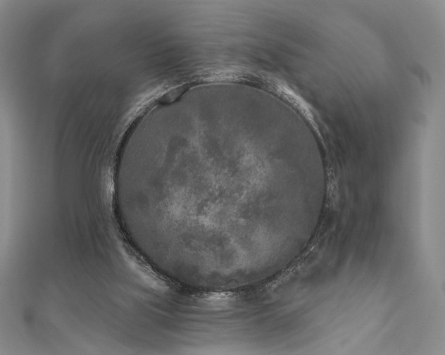 X0000111000059200906191559