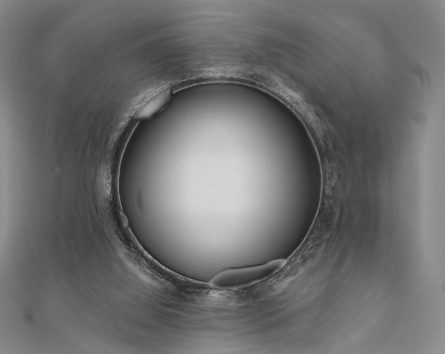 X0000111000060200906191559