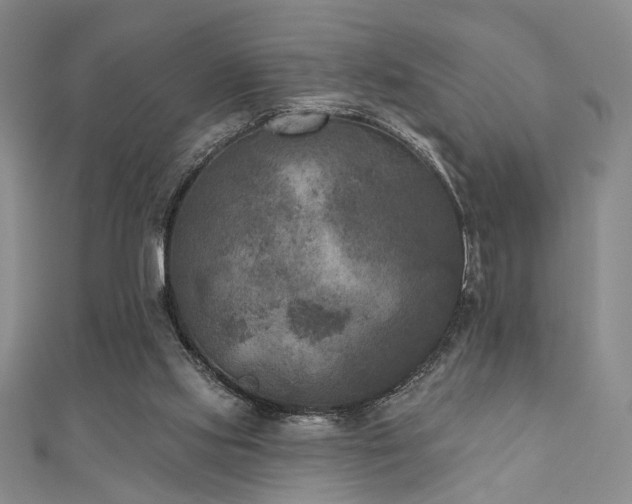 X0000111000061200906191559