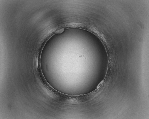 X0000111000062200906191559