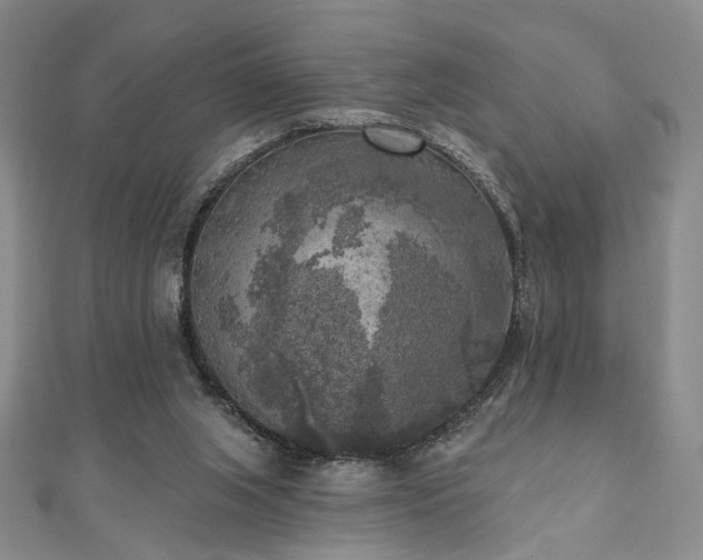 X0000111000063200906191559