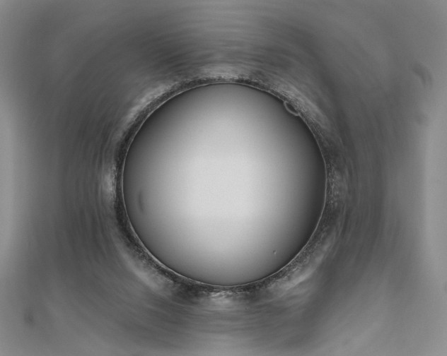 X0000111000064200906191559