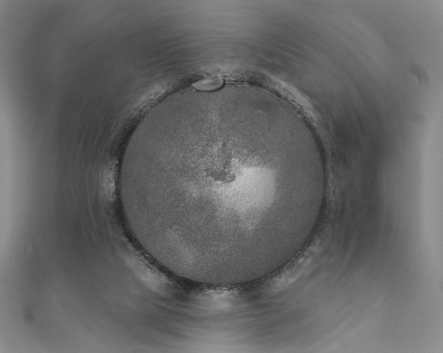 X0000111000065200906191559