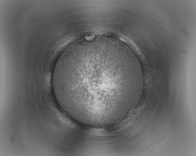 X0000111000066200906191559