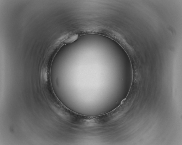 X0000111000068200906191559