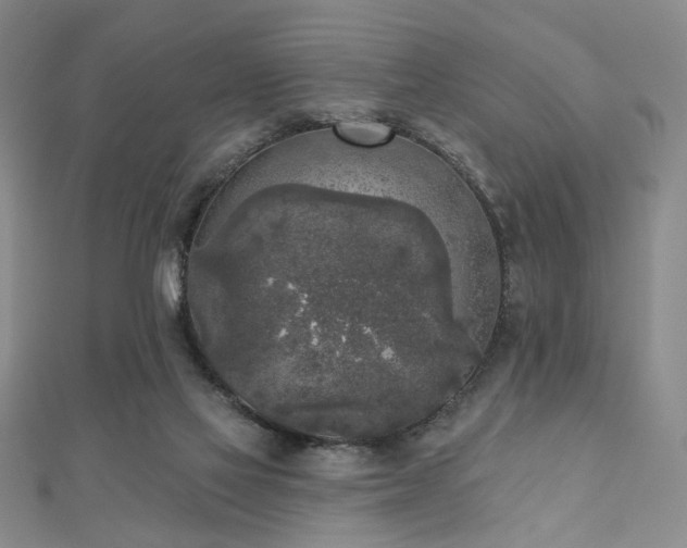 X0000111000069200906191559