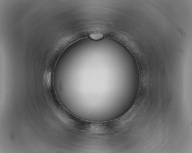 X0000111000070200906191559