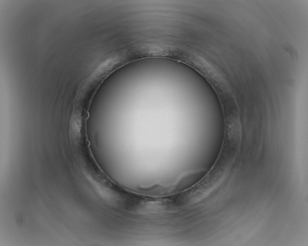 X0000111000072200906191559