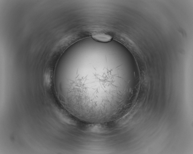 X0000111000074200906191559