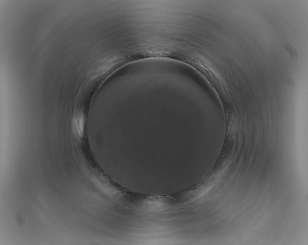 X0000111000076200906191559