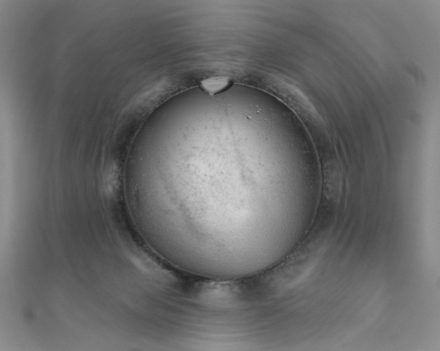 X0000111000077200906191559