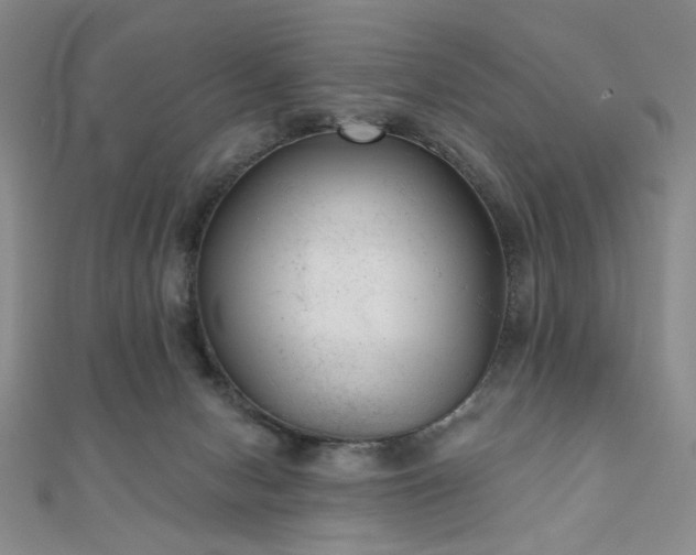 X0000111000078200906191559