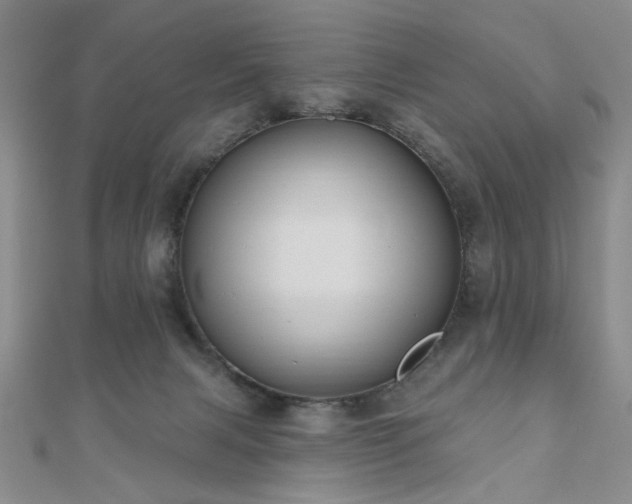 X0000111000079200906191559