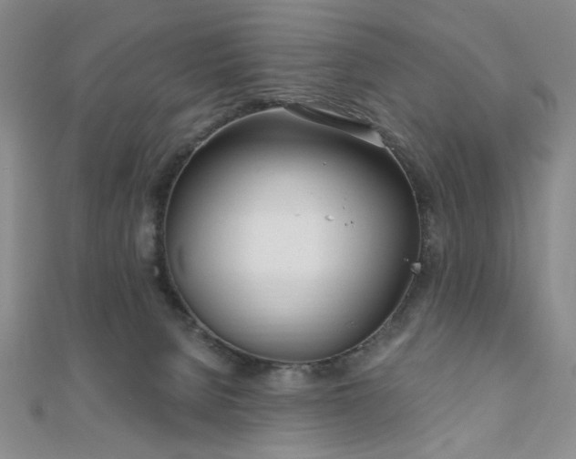 X0000111000080200906191559