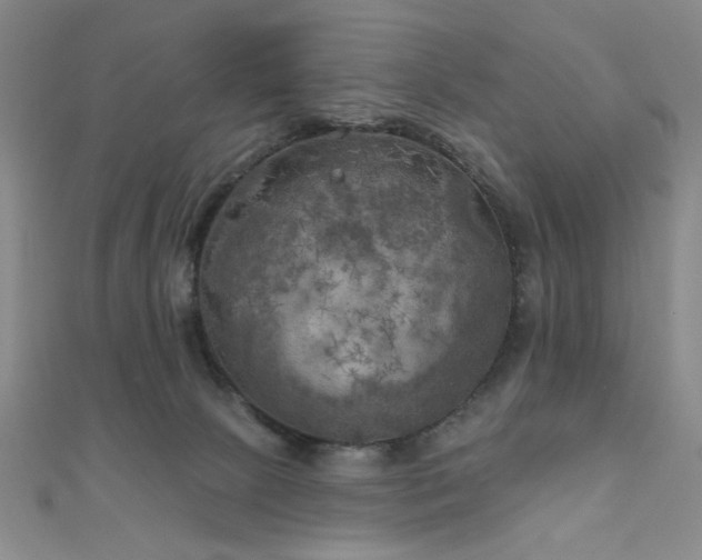 X0000111000081200906191559