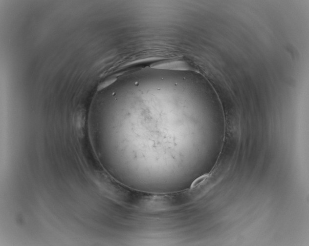 X0000111000082200906191559