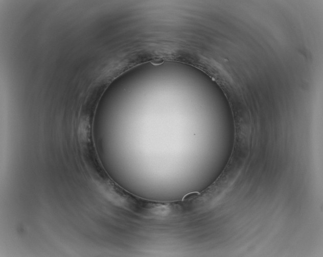 X0000111000083200906191559