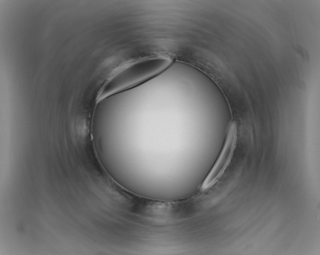 X0000111000084200906191559