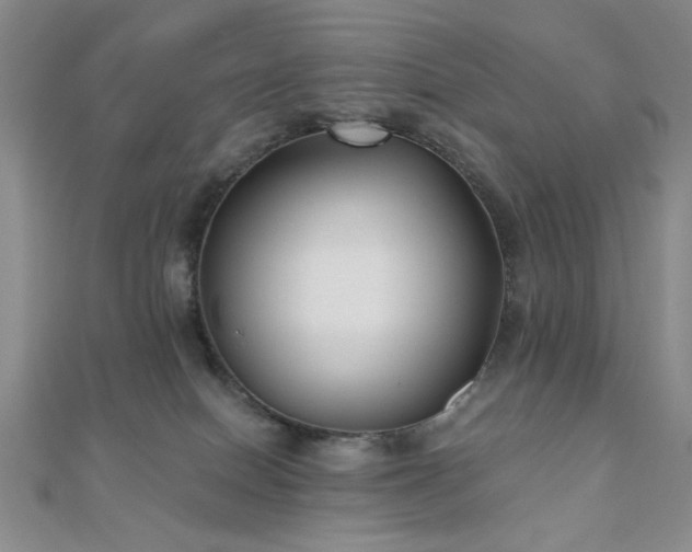 X0000111000086200906191559