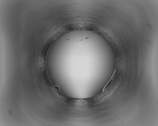 X0000111000087200906191600