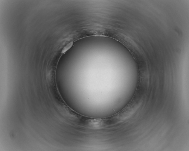 X0000111000088200906191600