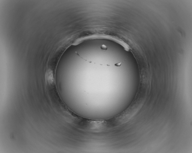 X0000111000089200906191600