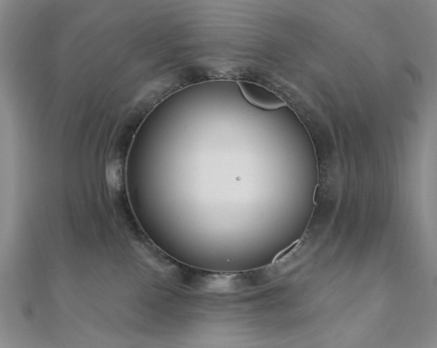 X0000111000090200906191600