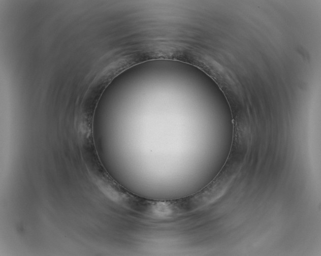 X0000111000091200906191600