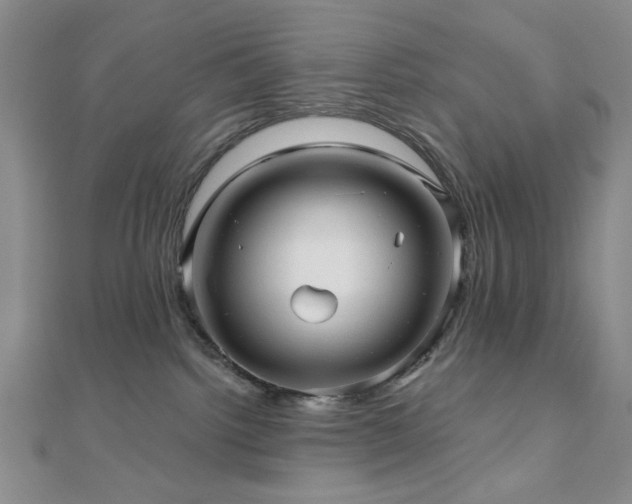 X0000111000092200906191600