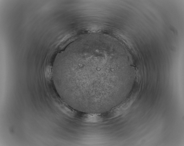 X0000111000093200906191600