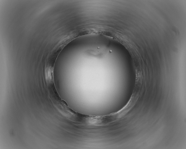 X0000111000094200906191600