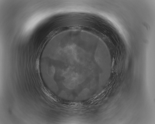 X0000111000099200906191559