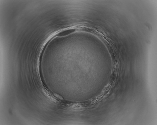 X0000111000100200906191559