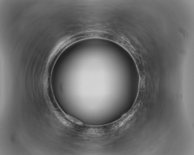 X0000111000101200906191559