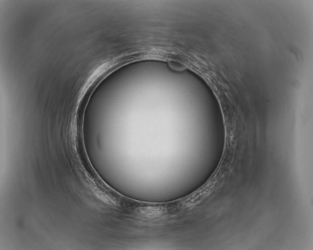 X0000111000102200906191559