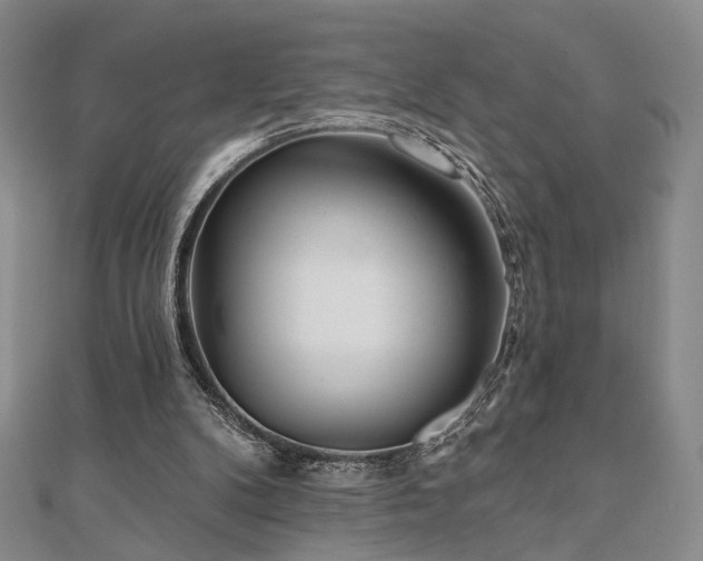 X0000111000104200906191559